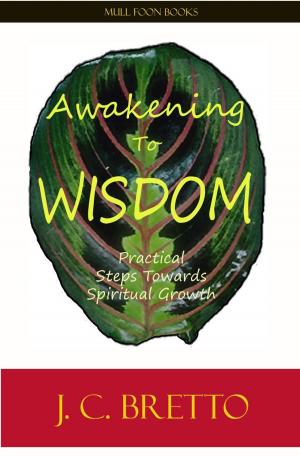 Cover of the book Awakening To Wisdom: Practical Steps Towards Spiritual Growth by DENNY REYNARD
