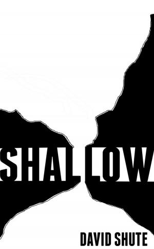 Cover of the book Shallow by Russell Nohelty