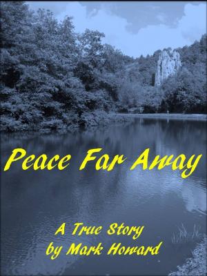 Book cover of Peace Far Away
