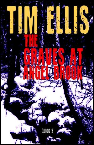 bigCover of the book The Graves at Angel Brook (Quigg 3) by 