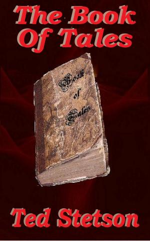 Cover of the book The Book of Tales by Jessica Schaub