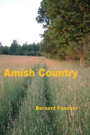 Book cover of Amish Country