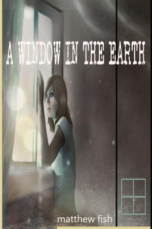 Cover of the book A Window in the Earth by Donna Hawk