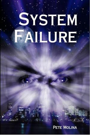 Cover of the book System Failure by Michael McManamon