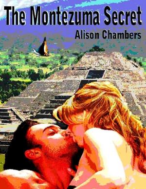 Cover of the book The Montezuma Secret by HA Fortman