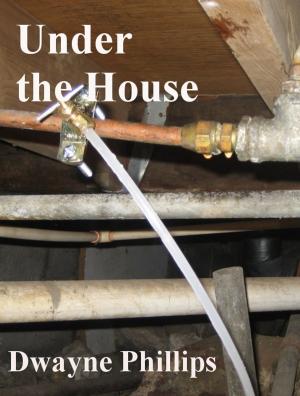 Book cover of Under the House