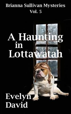 Cover of the book A Haunting in Lottawatah by Barbara Paul
