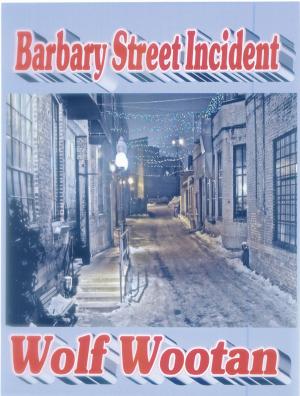 Book cover of Barbary Street Incident, A John Cronin Private Eye Short Story
