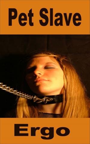 Book cover of Pet Slave
