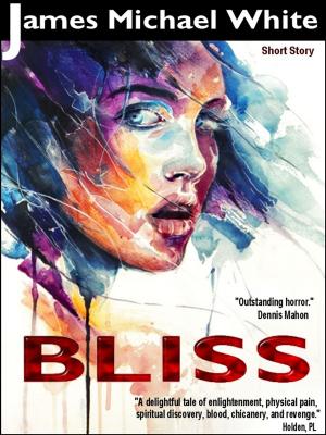 Cover of the book Bliss by Lynn E. O'Connacht