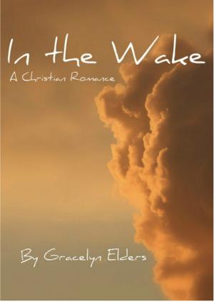 Cover of the book In the Wake: A Christian Romance by C.G. Coppola