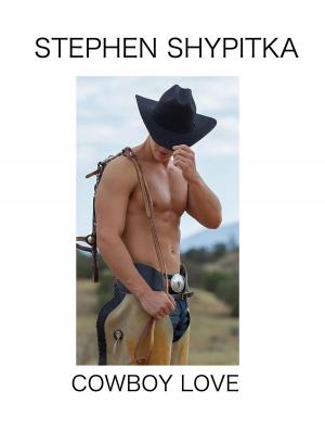 Cover of the book Cowboy Love by Tom Angleberger