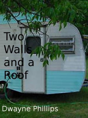 Book cover of Two Walls and a Roof