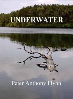 Book cover of Underwater