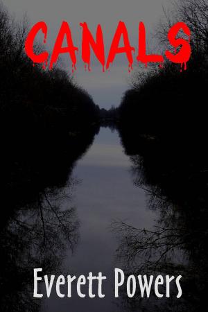 Cover of the book Canals by Natacha Guyot