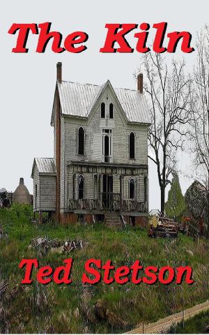 Cover of the book The Kiln by Ted Stetson