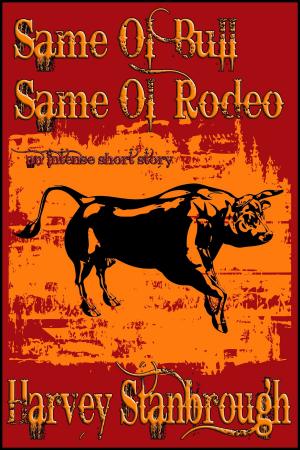 Cover of the book Same Ol' Bull Same Ol' Rodeo by Britany Elizabeth
