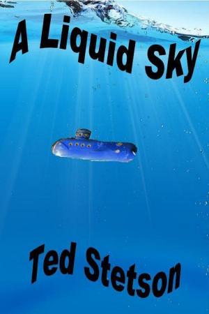 Cover of the book A Liquid Sky by Ted Stetson