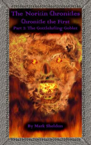 Book cover of The Noricin Chronicles: The Gottlehrling Goblet