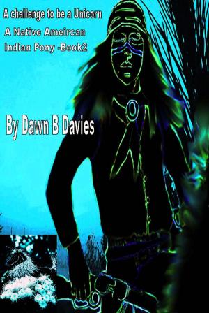 Cover of the book A Challenge to be a Unicorn, A Native American Indian Pony book 2 by Dawn B Davies