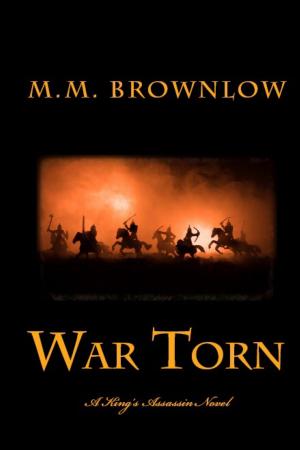 Cover of the book War Torn by Vaughan Stanger