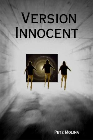 Cover of the book Version Innocent by James E. Aarons DVM