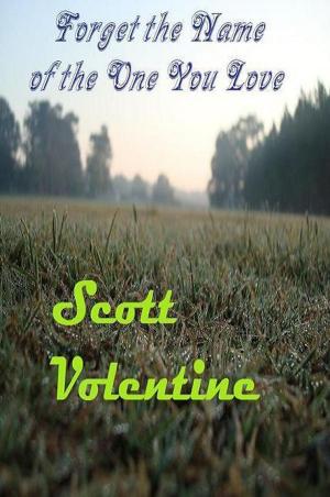 Cover of the book Forget the Name of the One You Love by Jeff  