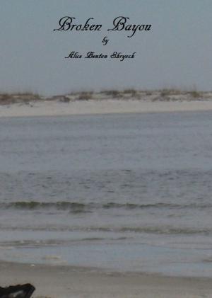 Book cover of Broken Bayou