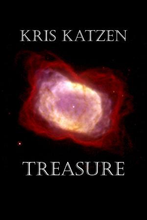 Cover of the book Treasure by David Tiefenthaler