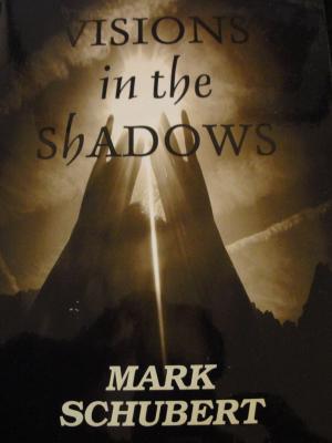 Cover of Visions in the Shadows