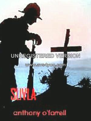 bigCover of the book Suvla by 