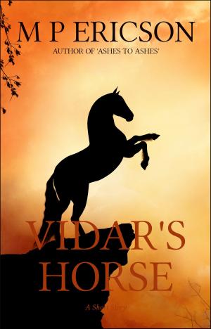Cover of the book Vidar's Horse by Zoe Buckden