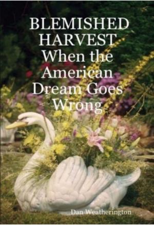Cover of the book Blemished Harvest by Mercy Grogan