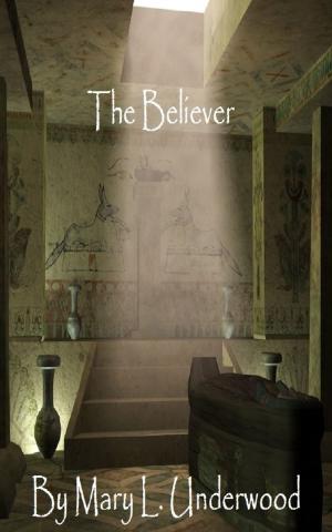 Cover of the book The Believer by Annette Siketa