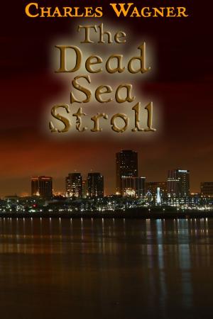 Cover of the book The Dead Sea Stroll by Anthony Luc DOUZET