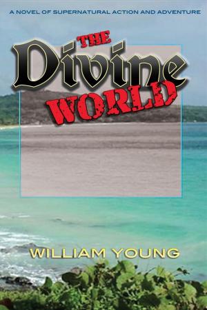 Book cover of The Divine World