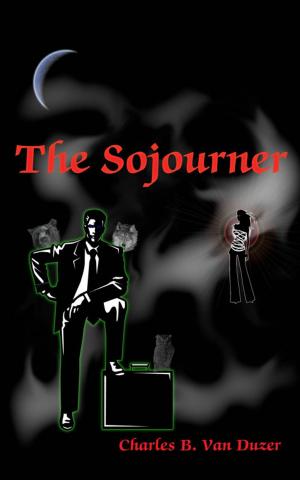 Cover of the book The Soujorner by John Jennings, John Jennings, Stacey Robinson