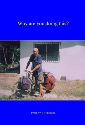 Cover of the book Why are you doing this? by John James Santangelo C.Ht.