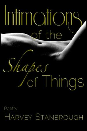 Book cover of Intimations of the Shapes of Things