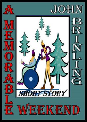 Cover of the book A Memorable Weekend: A Short Story by Amelia Wilde