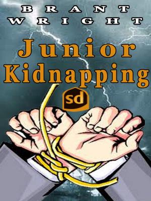 Cover of the book Junior Kidnapping by Jill Marshall