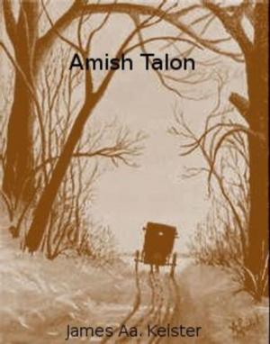 Cover of the book Amish Talon by james J. Deeney