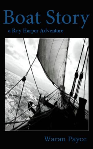 Book cover of Boat Story