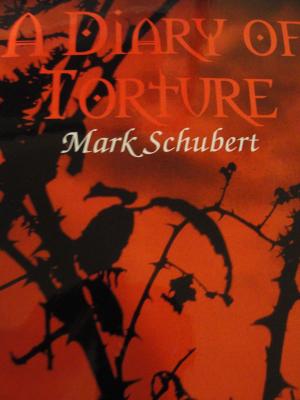 Cover of the book A Diary of Torture by Rich Feitelberg