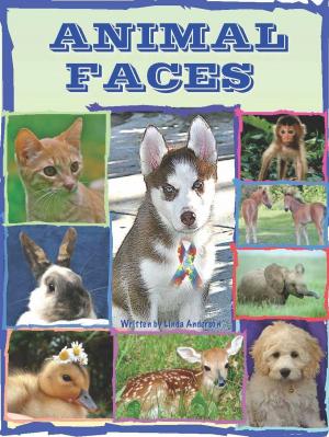 Cover of Animal Faces
