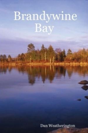 Book cover of Brandywine Bay