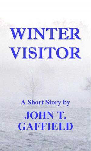bigCover of the book Winter Visitor by 