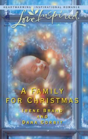 Cover of the book A Family for Christmas by Dorothy Clark
