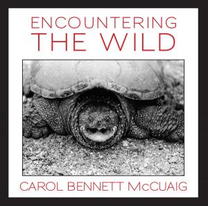 Cover of the book Encountering the Wild by Lesley Choyce