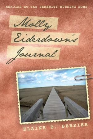 Cover of the book Molly Eiderdown’S Journal by Jane T. Robe